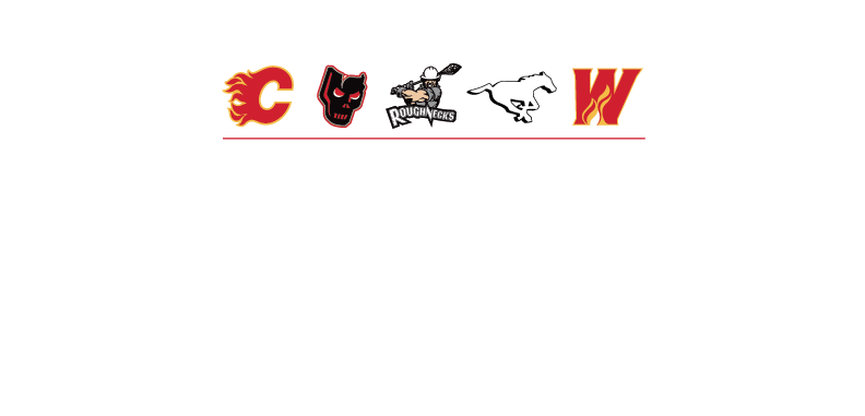 CSEC_FANtastic Group Exp