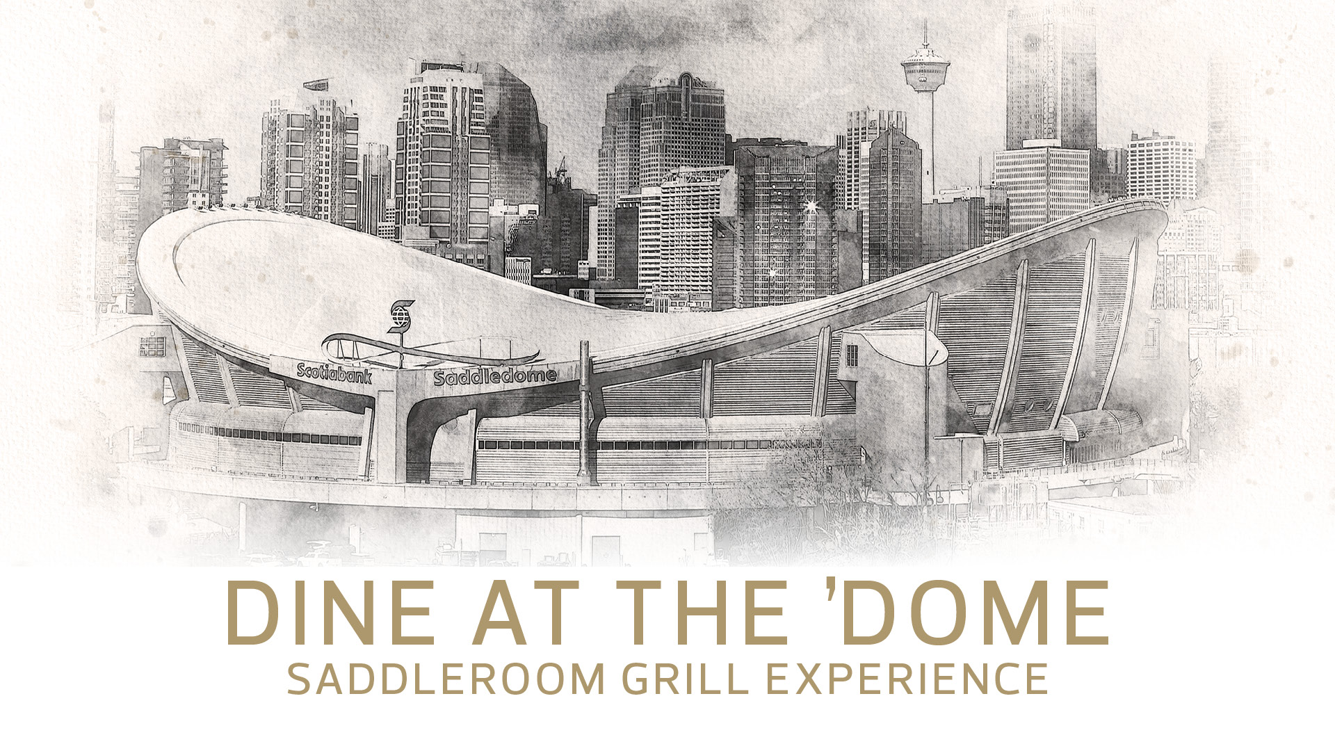 Dine At The 'Dome: Saddleroom Grill Experience